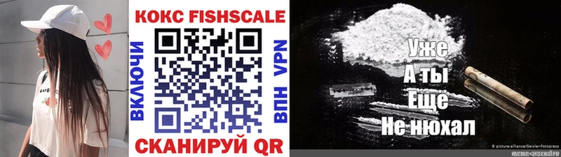 купить   MEGA маркетплейс  COCAIN Fish Scale  Тавда 