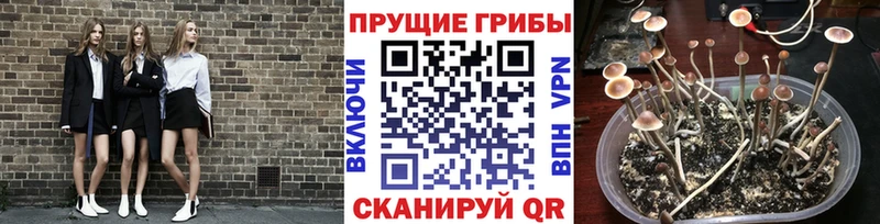маркетплейс какой сайт что такое Тавда Галлюциногенные грибы мухоморы