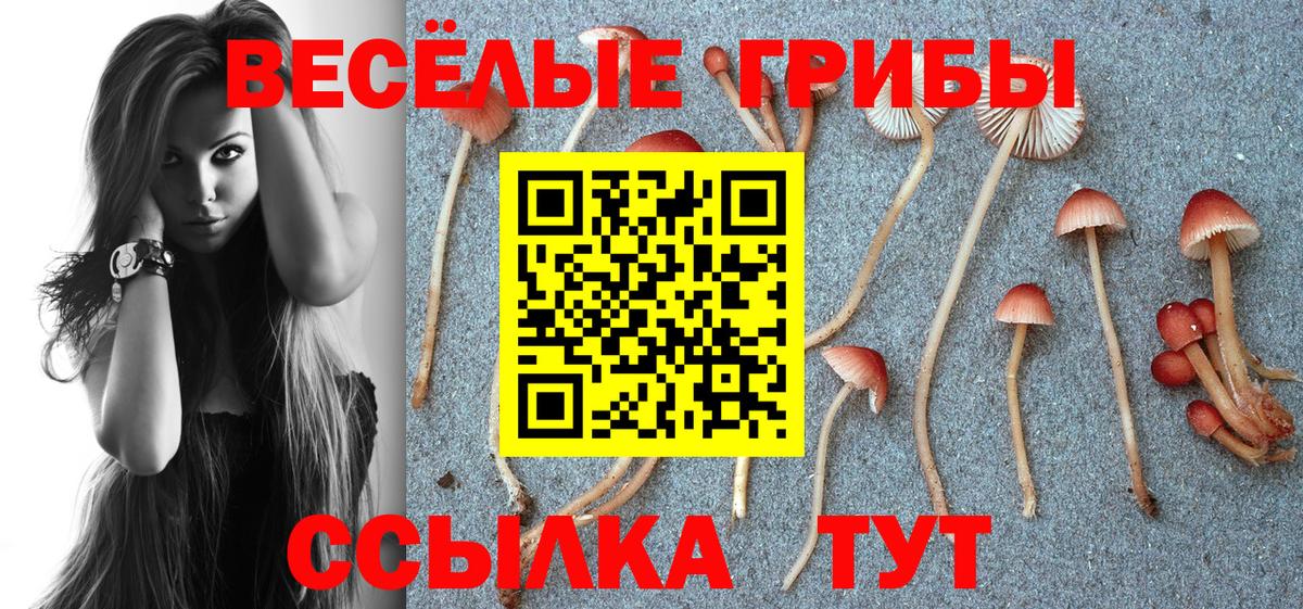 Тавда  Галлюциногенные грибы Cubensis  Псилоцибиновые грибы MAGIC MUSHROOMS  Вход с VPN 